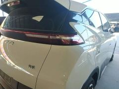 BYD Seagull Glory Edition 305km Freedom Version - фото 7