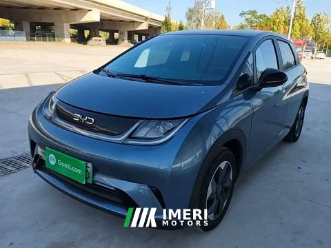 2025 BYD Dolphin 420km Freedom Edition - car from China