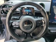 BYD Dolphin 420km Freedom Edition - ფოტო 10