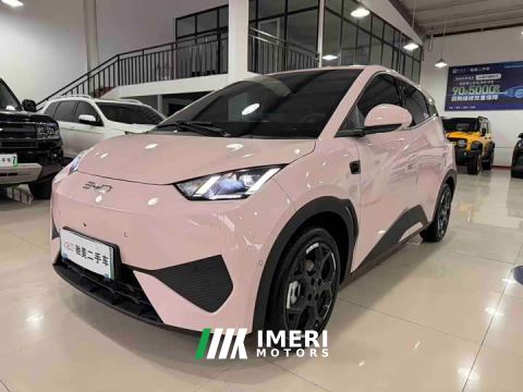 2025 BYD Seagull Smart Driving Edition 305km Freedom Edition - car from China