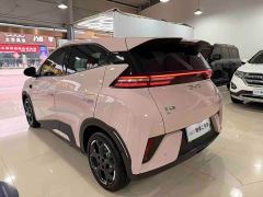 BYD Seagull Smart Driving Edition 305km Freedom Edition - фото 6