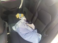 Tesla Model 3 Rear-Wheel Drive - фото 13