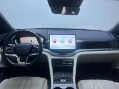 BYD Song Plus New Energy Glory Edition DM-i 110km Flagship Plus - photo 8