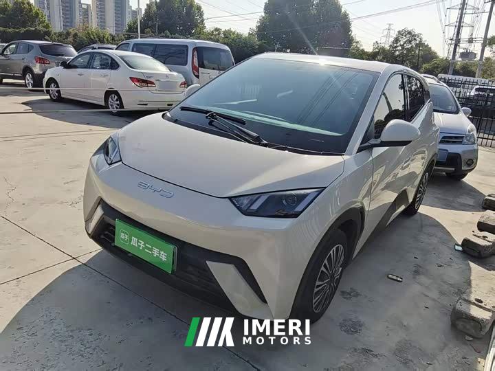 BYD Seagull Glory Edition 305km Vitality Version - ავტომობილი ჩინეთიდან
