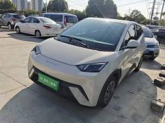 BYD Seagull Glory Edition 305km Vitality Version - ფოტო 1