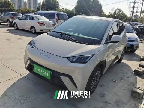 2024 BYD Seagull Glory Edition 305km Vitality Version - ავტომობილი ჩინეთიდან