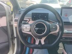 BYD Seagull Glory Edition 305km Vitality Version - ფოტო 10