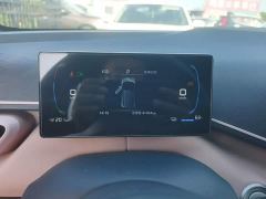 BYD Seagull Glory Edition 305km Vitality Version - ფოტო 11