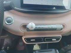 BYD Seagull Glory Edition 305km Vitality Version - ფოტო 13