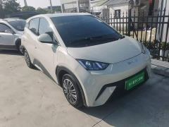 BYD Seagull Glory Edition 305km Vitality Version - ფოტო 3