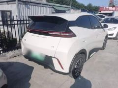 BYD Seagull Glory Edition 305km Vitality Version - ფოტო 6