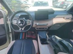BYD Seagull Glory Edition 305km Vitality Version - ფოტო 9