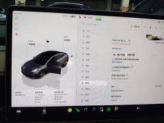 Tesla Model 3 Facelift Performance All-Wheel Drive - фото 11