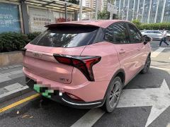Neta V Long-Range Industry Custom Edition - фото 3