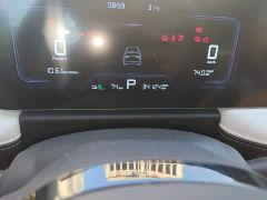 Geely Geometry E Firefly 320KM Cute Tiger 5-Seater - photo 8