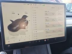 Tesla Model Y Rear-Wheel Drive - photo 11