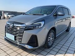 Buick GL8 Land Executive Cabin 652T Luxury - photo 1
