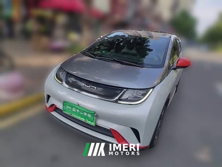 BYD Dolphin 405km Freedom Edition - ავტომობილი ჩინეთიდან