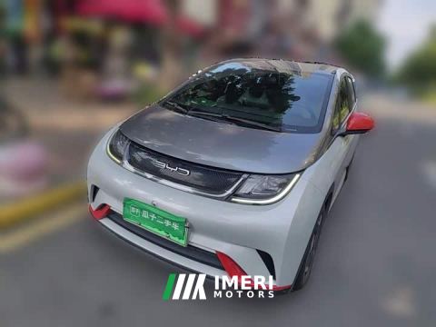 2022 BYD Dolphin 405km Freedom Edition - ავტომობილი ჩინეთიდან