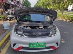 BYD Dolphin 405km Freedom Edition - ფოტო 10
