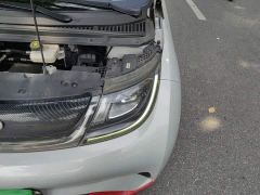 BYD Dolphin 405km Freedom Edition - ფოტო 20
