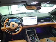 BYD Han DM-i 121KM Respect Edition - ფოტო 9