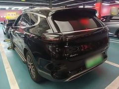 Denza X PHEV Classic Edition - photo 4