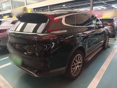 Denza X PHEV Classic Edition - photo 6