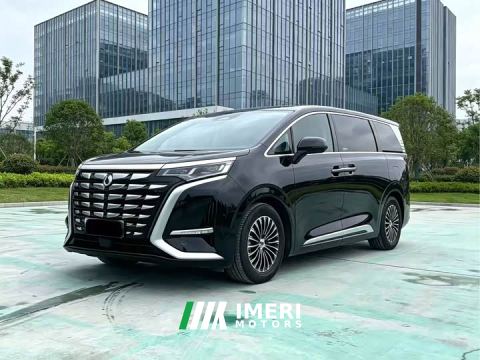 2024 Denza D9 DM-i 980 Four-Wheel Drive Flagship