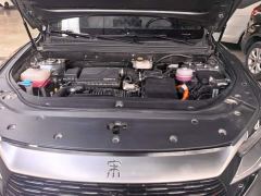 BYD Song Pro New Energy DM-i 110KM Glory Edition Exceed - photo 10