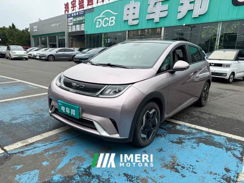 2022 BYD Dolphin 405km Fashion Edition - автомобиль из Китая