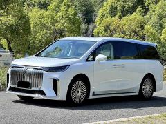 Voyah Lantu Dreamchaser PHEV AWD Luxury Kunpeng Edition - ფოტო 1