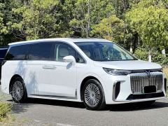 Voyah Lantu Dreamchaser PHEV AWD Luxury Kunpeng Edition - ფოტო 3