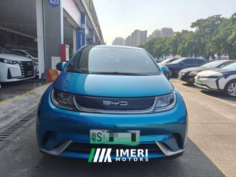 2022 BYD Dolphin 405km Fashion Edition - ავტომობილი ჩინეთიდან