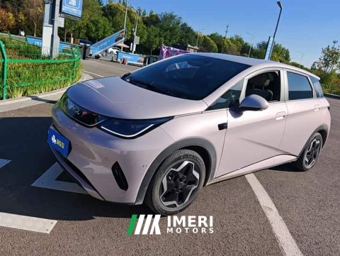 2025 BYD Dolphin 420km Freedom Edition - ავტომობილი ჩინეთიდან