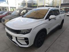 Geely Radar Horizon 410km Startup Edition - фото 1