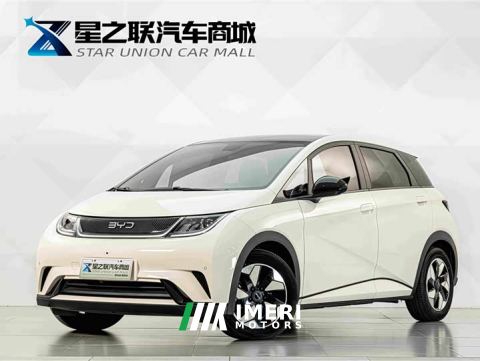 2024 BYD Dolphin 420km Fashion Edition - ავტომობილი ჩინეთიდან