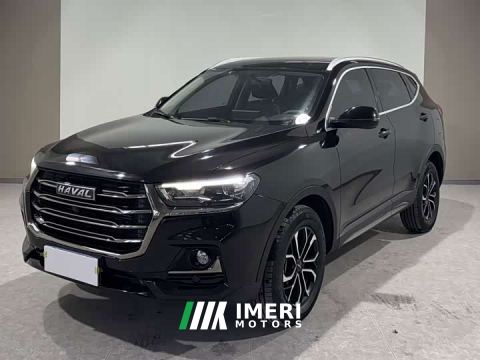 2022 Haval H6 National Trend Edition 1.5T Automatic Urban Version - ავტომობილი ჩინეთიდან