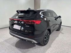 Haval H6 National Trend Edition 1.5T Automatic Urban Version - photo 6