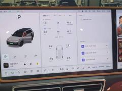 Li Auto L9 Max - ფოტო 11