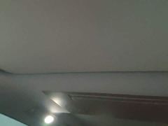 Li Auto L9 Max - ფოტო 17