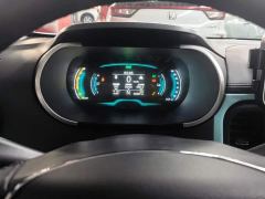 Chery Xiaomi Ant 150,000 Ant Fan Edition Ant Cool Version Ternary Lithium - photo 14