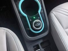 Chery Xiaomi Ant 150,000 Ant Fan Edition Ant Cool Version Ternary Lithium - photo 16
