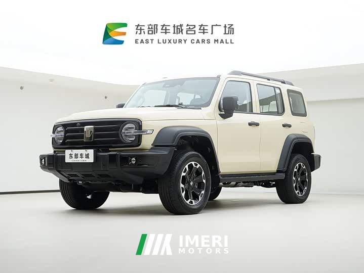 Tank 300 New Energy Hi4-T 37.1kWh - car from China