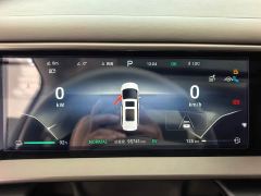 Denza D9 DM-i 970 AWD Flagship - ფოტო 5