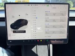 Tesla Model 3 Rear-Wheel Drive - ფოტო 18