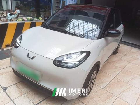 2023 Wuling Binguo 333km Lingxi Connected Edition - car from China