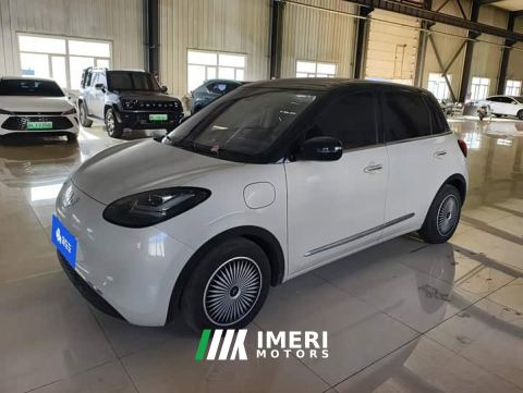 2023 Wuling Binguo 333km Lingxi Connected Plus - car from China