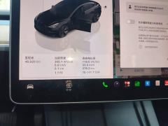Tesla Model 3 Rear-Wheel Drive - фото 11