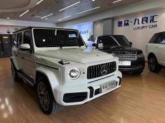 Mercedes-Benz G-Class G 350 - ფოტო 1